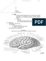 Córtex Cerebral