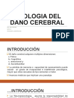 D.etiologia Del Daño Cerebral