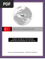 Download Investment in Turkey by Lalit_Sharma_2519 SN35557181 doc pdf