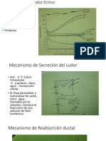 Composición Del Sudor Ecrino Humano