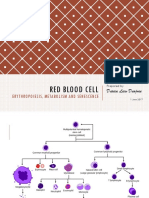 Erythropoiesis and Senescence