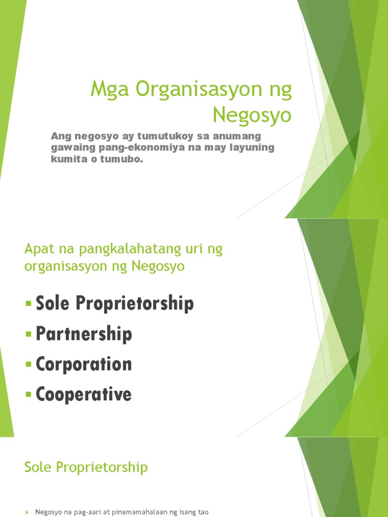 Mga Organisasyon Ng Negosyo