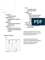 Mammo Simplified