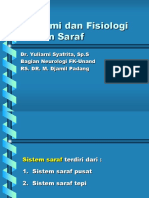 69831117 Anatomi Dan Fisiologi Saraf