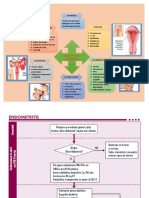 Endometritis puerperal