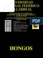 HONGOSFINAL2.pptx