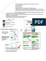 Periodontal Debridement