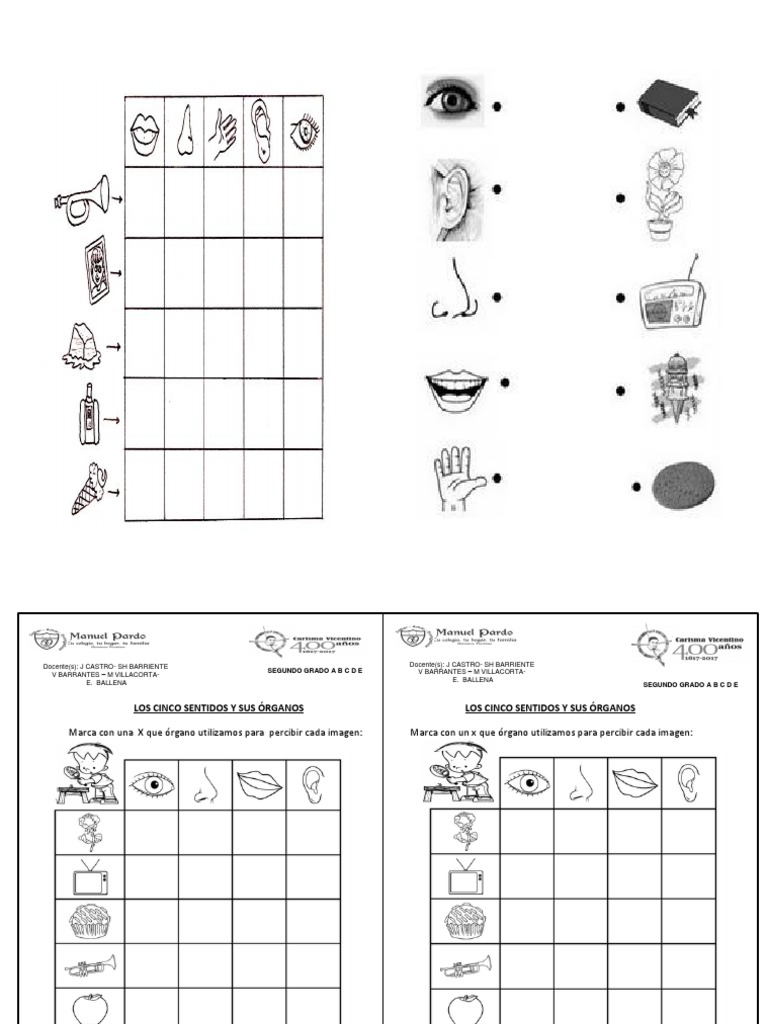 Ficha de Los 5 Sentidos | PDF