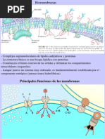 Clase11-Membranas