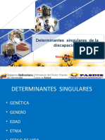 Determinantes Singulares de La Discapacidad