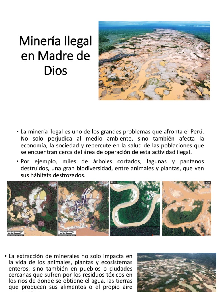 Impacto de la Minería Ilegal en Madre de Dios | PDF