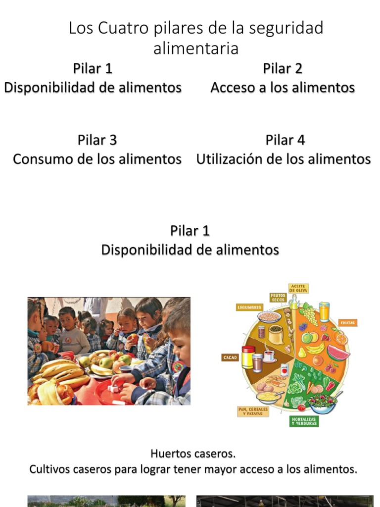 Los Cuatro Pilares de La Seguridad Alimentaria | Alimentos | Comida y