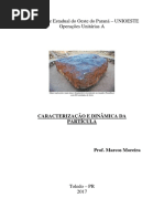 Caracterização Da Partícula
