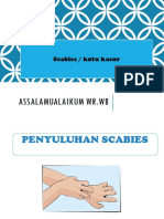 Scabies Novian