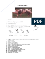 RAÇA PIETRAIN - Apresentação PDF