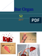 Kultur Organ S2 2017