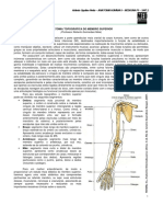 ANATOMIA I - Anatomia topográfica do Membro superior - MED RESUMOS 2010 (Arlindo Netto).pdf