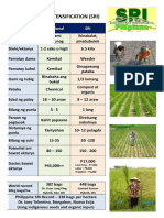 System of Rice Intensification