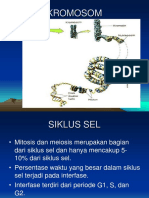 powerpoint-reproduksi-sel.ppt