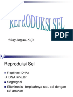 Reproduksi Sel