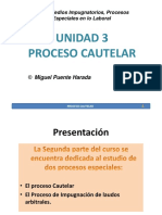 PROCESO_CAUTELAR.pdf