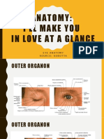Human Eye Anatomy.pptx