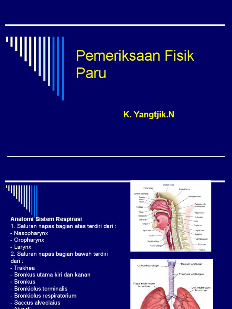 Pemeriksaan Fisik Paru  PDF