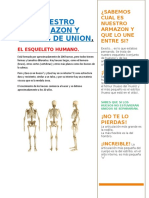 Nuestro Armazon y Puntos de Union