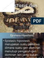 Epistasis Dan Hipostasis