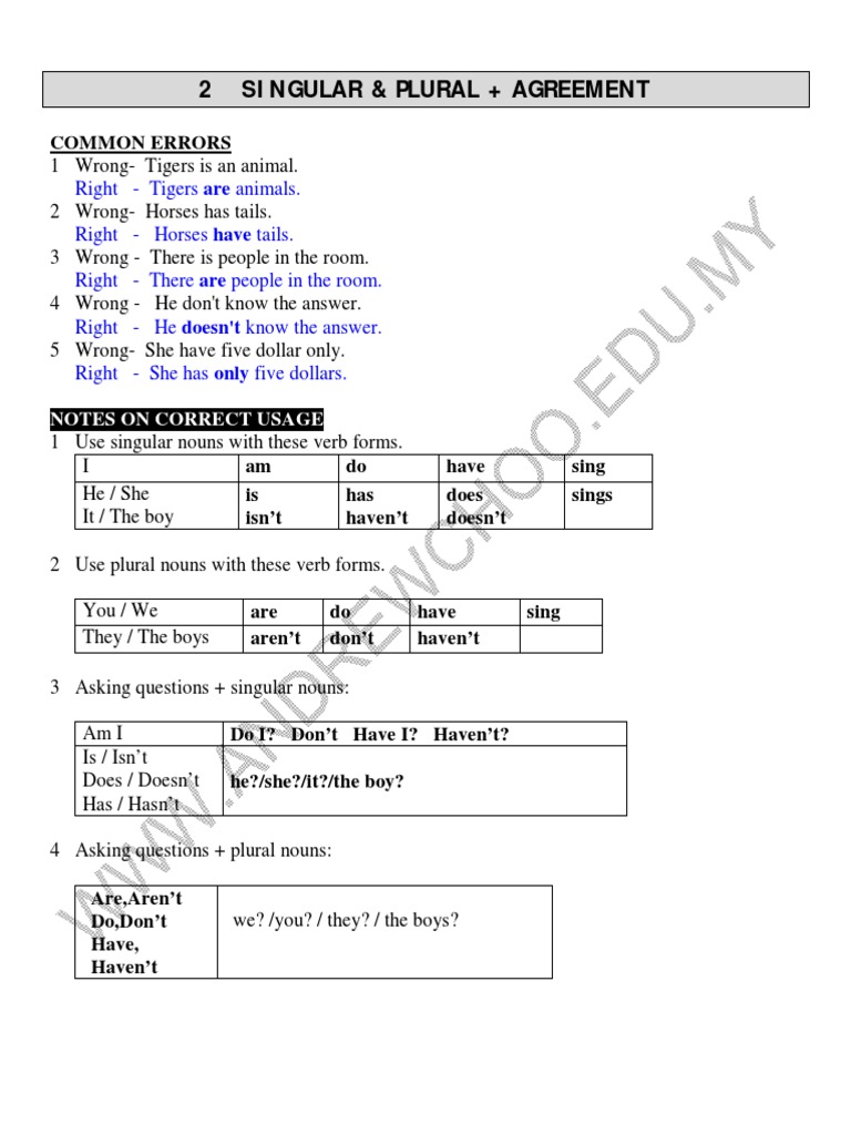 Unit 2 Singular Plural PDF | PDF