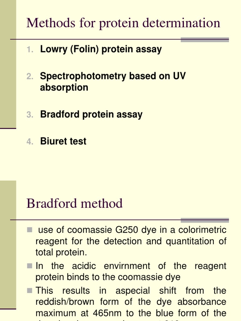 Bradford Assay Spectrophotometry Laboratory Techniques