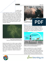 biogas-generator-cp.pdf