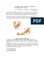 Las Contracciones Musculares