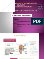 Derrame Pleural