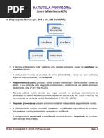 Tutelas Provisórias - Aula - Novo CPC