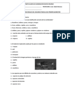 aportes del segundo parcial de cuarto basico.docx