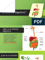 Power Point Sistema Digestivo