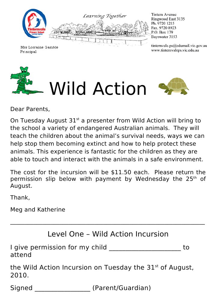 Wild Action | PDF