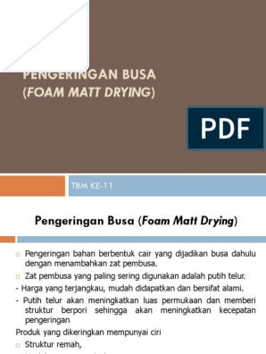 Presentasi Foam Mat Drying