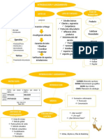 Guía introductoria y lanzamiento de productos