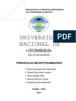 Neurotrasmisores - Nuevo