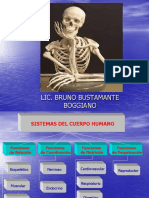 Huesos y Articulaciones Biomedicas