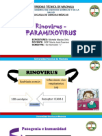 Rinovirus