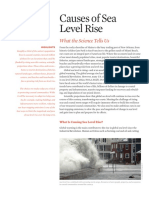 Causes of Sea Level Rise