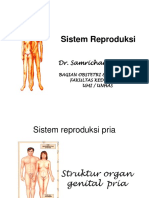 Anatomi & Fisiologi Sistem Reproduksi