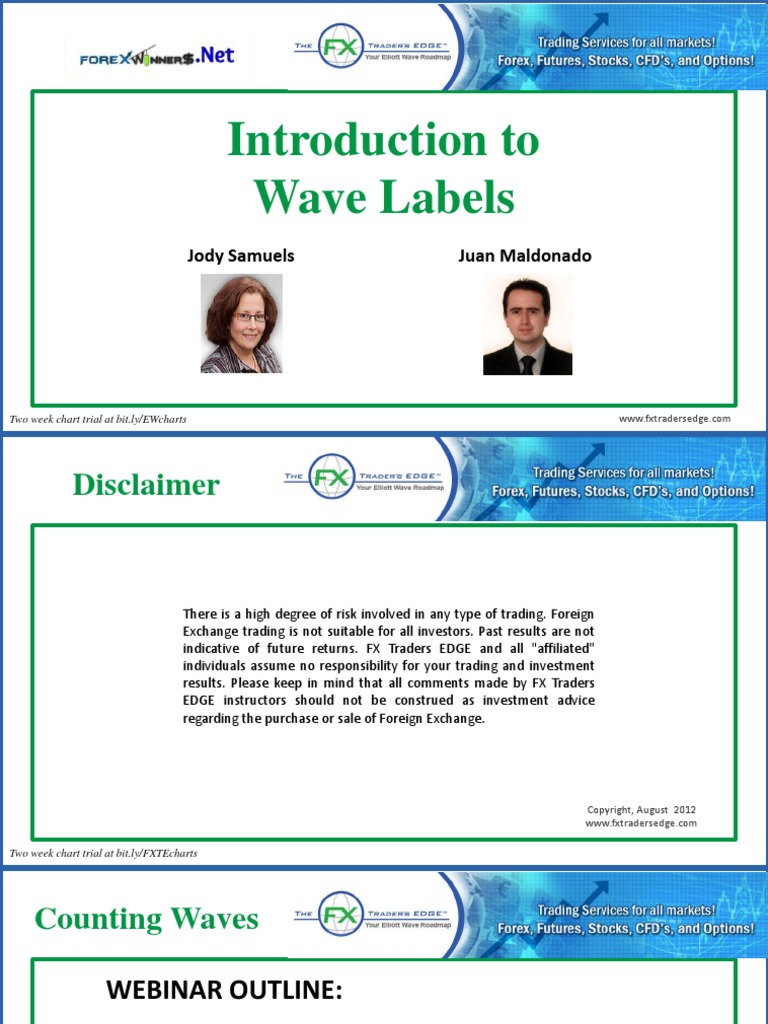 Intro To Wave Labels | PDF | Financial Markets | Technical Analysis