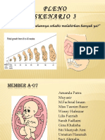 Pleno SKENARIO 3 Blok 7 (A-7)