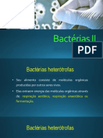 Bactérias respiração