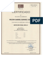 Certificacion Inspeccion Visual y Tintes PDF