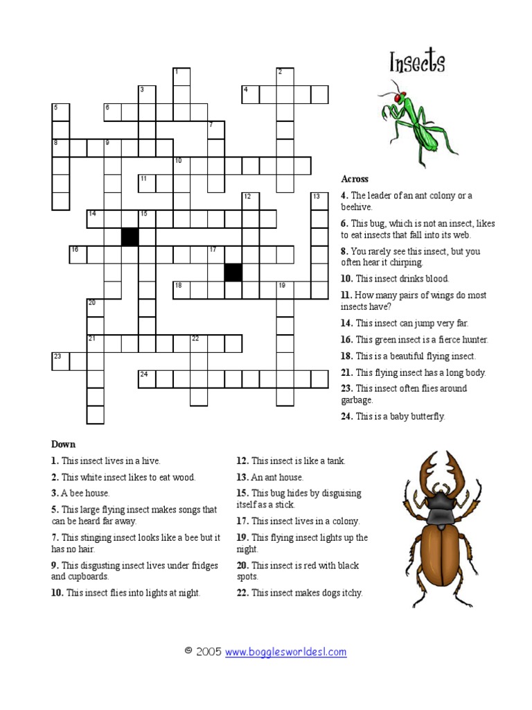 insect crossword1 doc Insects Beehive insect crossword1 doc Insects Beehive
